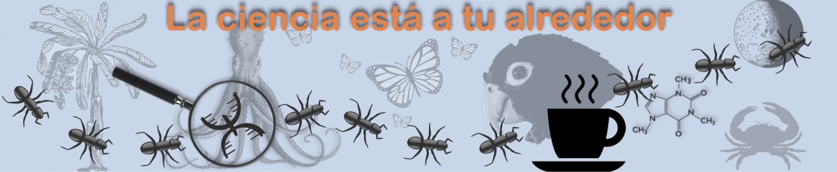 Banner Ciencia a tu alrededor Blog