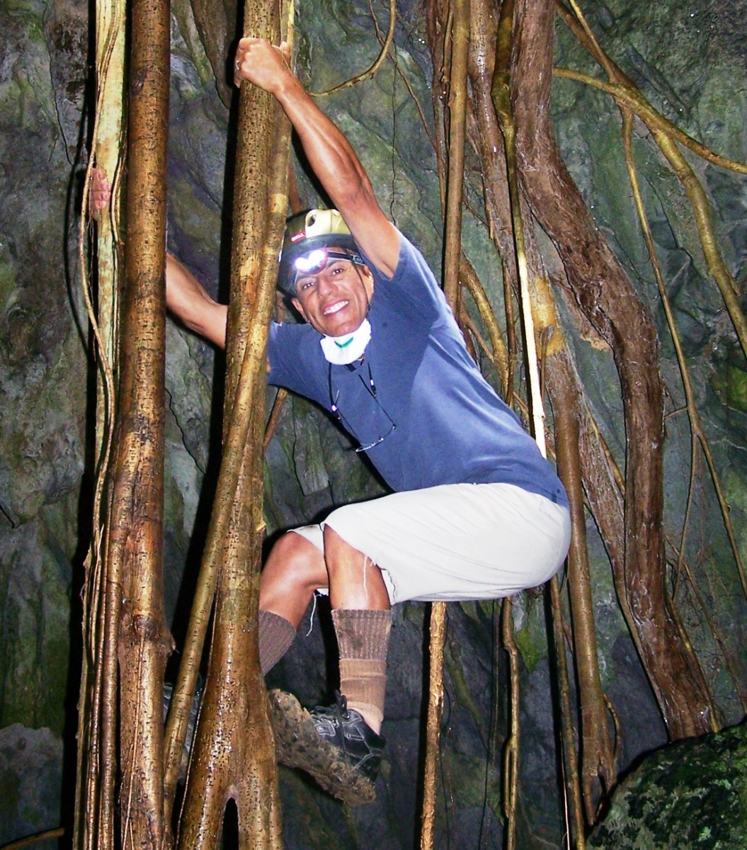 Dr. Eddie Laboy-Nieves climbing a tree