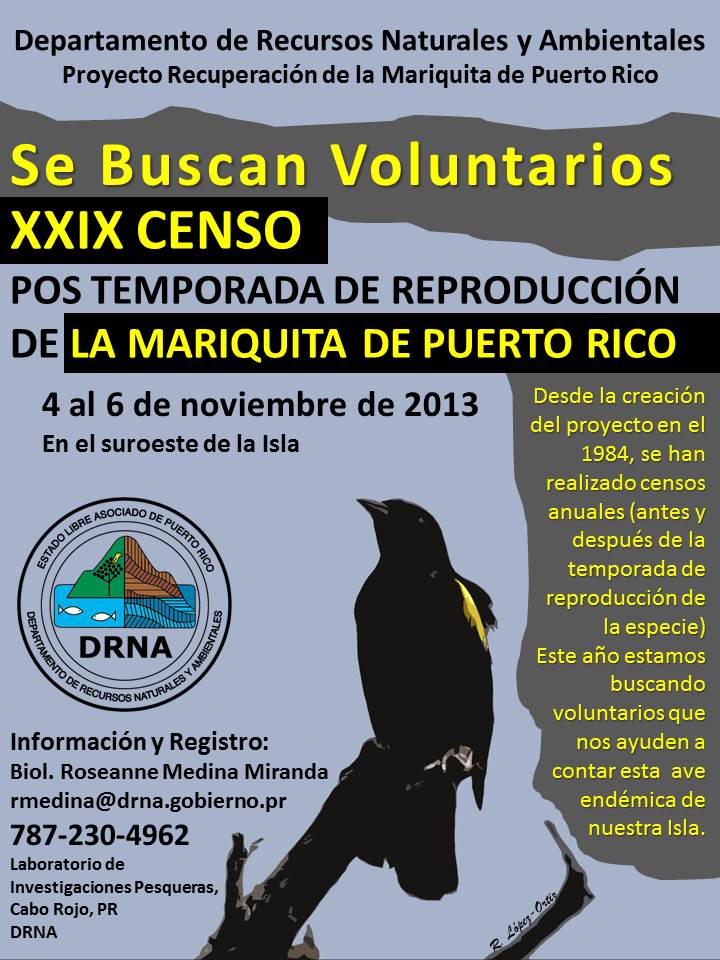 Censo de la Mariquita en Cabo Rojo PR