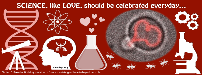 science love