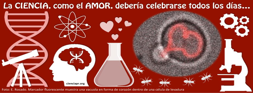 ciencia y amor