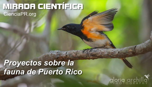 Mirada Cientifica Podcast - Episode 1 Mirada Científica