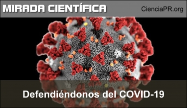 Defendiéndonos del coronavirus