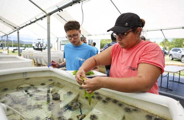 Educación - Educación Marina - Sea Grant Puerto Rico