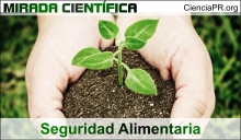 Mirada Cientifica Podcast - Seguridad Alimentaria