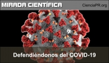 Defendiéndonos del coronavirus