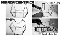 Mirada Cientifica Podcast - Biotectónica