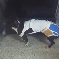 Imagen de Karla Marchany
