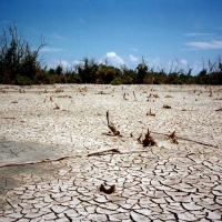 Imagen de Denny S Fernández del Viso