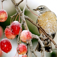 jacqueline Echevarria's picture