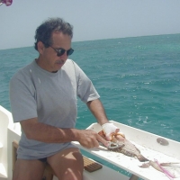 Imagen de Manuel Hormaza