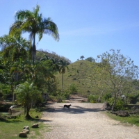Imagen de marlene sobrino
