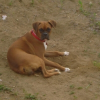 Jenn Rosario's picture